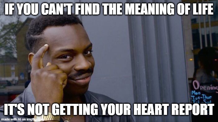 Its technically true yea | IF YOU CAN'T FIND THE MEANING OF LIFE; IT'S NOT GETTING YOUR HEART REPORT | image tagged in memes,roll safe think about it | made w/ Imgflip meme maker