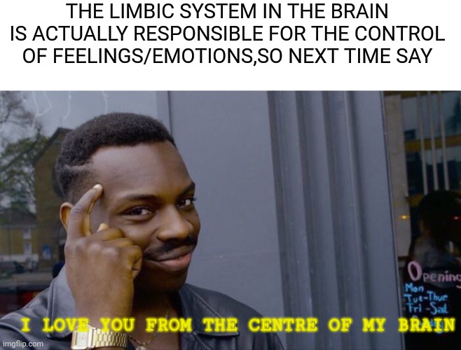 Think about it? | THE LIMBIC SYSTEM IN THE BRAIN IS ACTUALLY RESPONSIBLE FOR THE CONTROL OF FEELINGS/EMOTIONS,SO NEXT TIME SAY; I LOVE YOU FROM THE CENTRE OF MY BRAIN | image tagged in memes,roll safe think about it | made w/ Imgflip meme maker