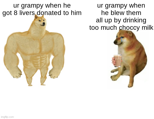doge | ur grampy when he got 8 livers donated to him; ur grampy when he blew them all up by drinking too much choccy milk | image tagged in memes,buff doge vs cheems,doge | made w/ Imgflip meme maker