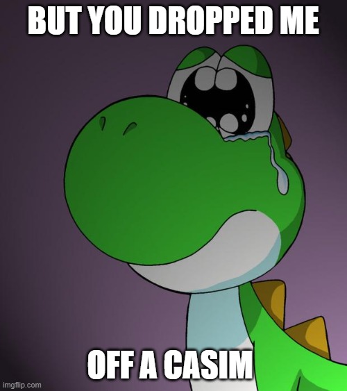 Sad Yoshi | BUT YOU DROPPED ME OFF A CASIM | image tagged in sad yoshi | made w/ Imgflip meme maker