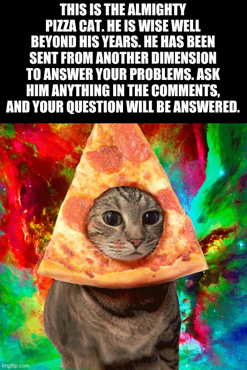 The Almighty Pizza Cat. |  THIS IS THE ALMIGHTY PIZZA CAT. HE IS WISE WELL BEYOND HIS YEARS. HE HAS BEEN SENT FROM ANOTHER DIMENSION TO ANSWER YOUR PROBLEMS. ASK HIM ANYTHING IN THE COMMENTS, AND YOUR QUESTION WILL BE ANSWERED. | image tagged in tie dye pizza cat | made w/ Imgflip meme maker