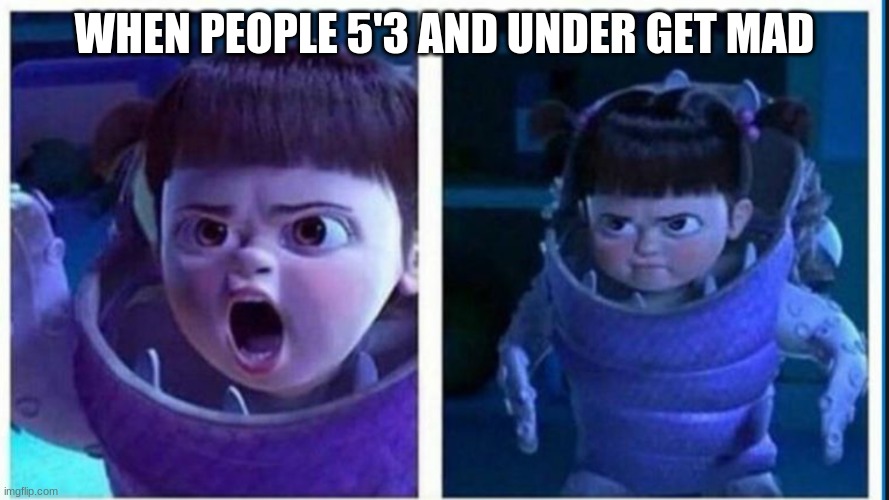 WHEN PEOPLE 5'3 AND UNDER GET MAD | image tagged in big boobs | made w/ Imgflip meme maker