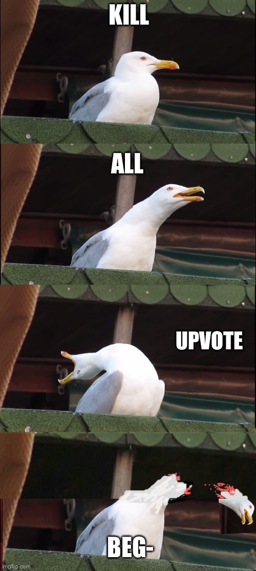 I captioned Inhailing Seagull Extreme |  KILL; ALL; UPVOTE; BEG- | image tagged in memes,inhaling seagull,inhaling seagull extreme,funny memes,dead | made w/ Imgflip meme maker