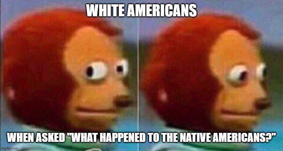 Monkey looking away | WHITE AMERICANS WHEN ASKED "WHAT HAPPENED TO THE NATIVE AMERICANS?" | image tagged in monkey looking away | made w/ Imgflip meme maker