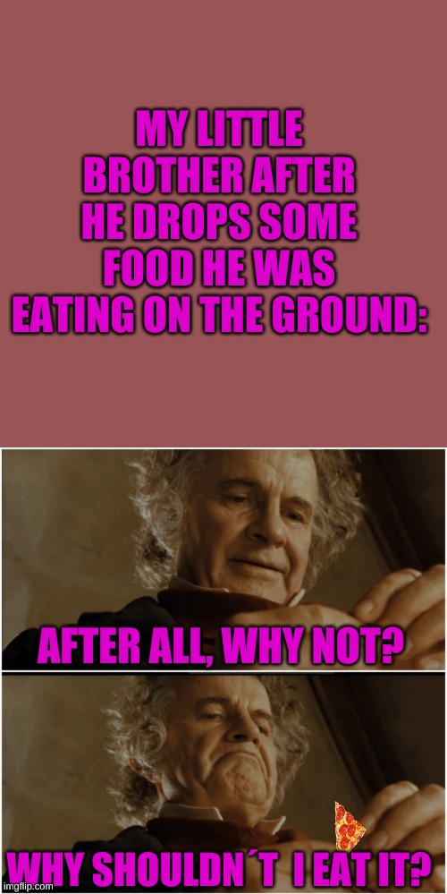 hehe | MY LITTLE BROTHER AFTER HE DROPS SOME FOOD HE WAS EATING ON THE GROUND:; AFTER ALL, WHY NOT? WHY SHOULDN´T  I EAT IT? | image tagged in nom nom nom nom | made w/ Imgflip meme maker