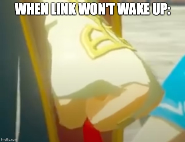 Zelda fist | WHEN LINK WON'T WAKE UP: | image tagged in zelda fist,gaming | made w/ Imgflip meme maker