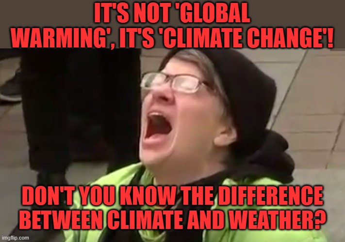 Screaming Liberal  | IT'S NOT 'GLOBAL WARMING', IT'S 'CLIMATE CHANGE'! DON'T YOU KNOW THE DIFFERENCE BETWEEN CLIMATE AND WEATHER? | image tagged in screaming liberal | made w/ Imgflip meme maker