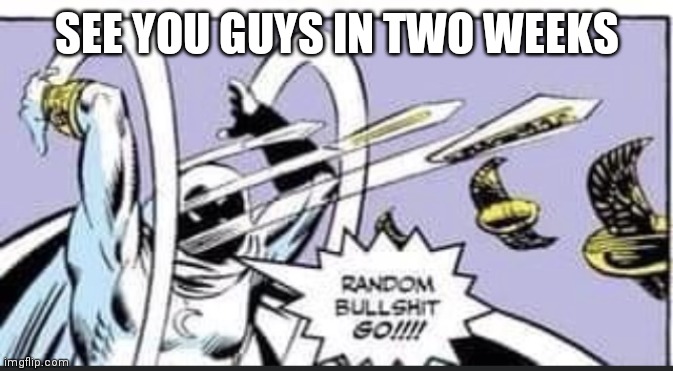 Random Bullshit Go | SEE YOU GUYS IN TWO WEEKS | image tagged in random bullshit go | made w/ Imgflip meme maker