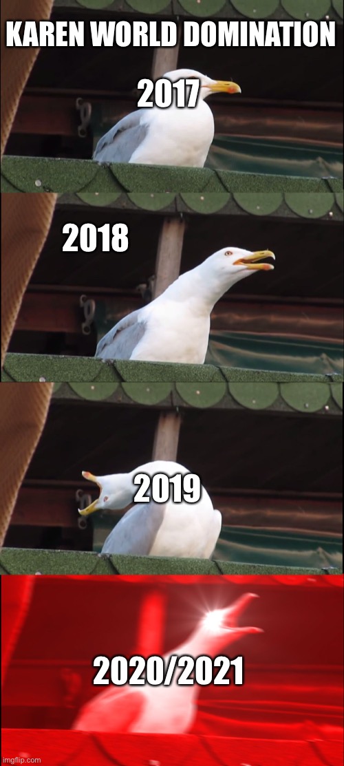 Inhaling Seagull | KAREN WORLD DOMINATION; 2017; 2018; 2019; 2020/2021 | image tagged in memes,inhaling seagull | made w/ Imgflip meme maker