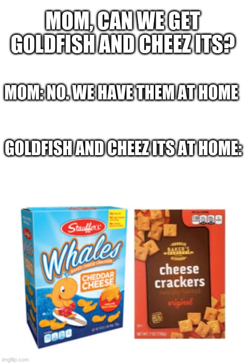 i see these at doller tree and i hate it | MOM, CAN WE GET GOLDFISH AND CHEEZ ITS? MOM: NO. WE HAVE THEM AT HOME; GOLDFISH AND CHEEZ ITS AT HOME: | image tagged in blank white template,goldfish,cheez its | made w/ Imgflip meme maker