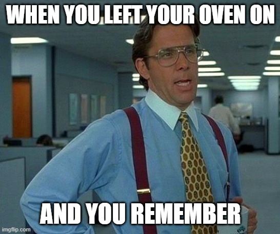 That Would Be Great | WHEN YOU LEFT YOUR OVEN ON; AND YOU REMEMBER | image tagged in memes,that would be great | made w/ Imgflip meme maker