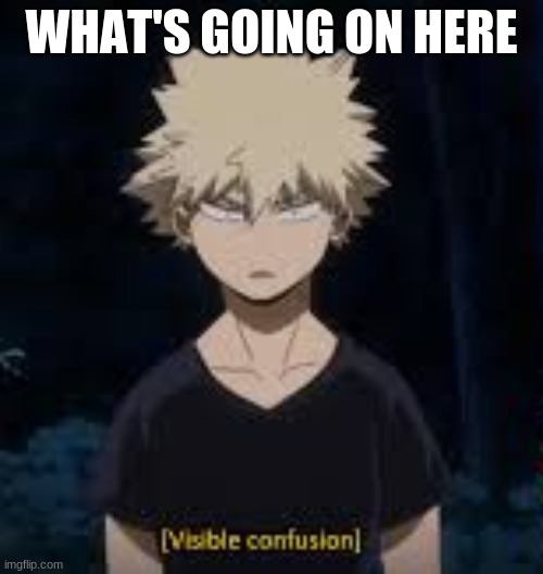 visible confusion bakugo | WHAT'S GOING ON HERE | image tagged in visible confusion bakugo | made w/ Imgflip meme maker