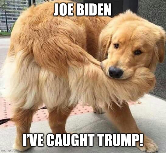 Joe Biden catching trump | JOE BIDEN; I’VE CAUGHT TRUMP! | image tagged in politics | made w/ Imgflip meme maker