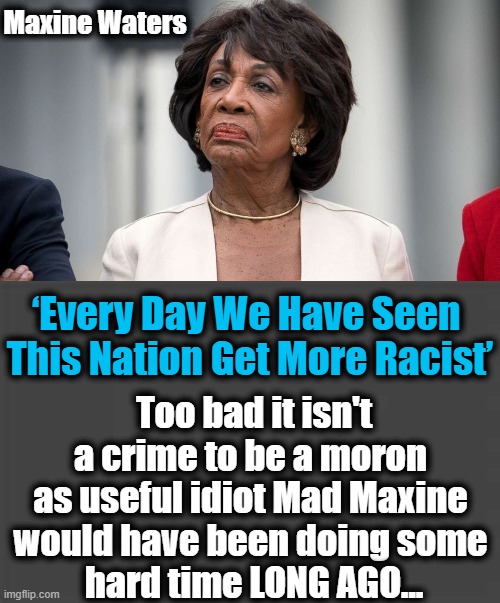 And To Think She Has Supporters Dumber Than She Is....? | Maxine Waters; Too bad it isn't a crime to be a moron 
as useful idiot Mad Maxine 
would have been doing some 
hard time LONG AGO... ‘Every Day We Have Seen 
This Nation Get More Racist’ | image tagged in political meme,democrats,moron,racist,waste of space,dumb people | made w/ Imgflip meme maker
