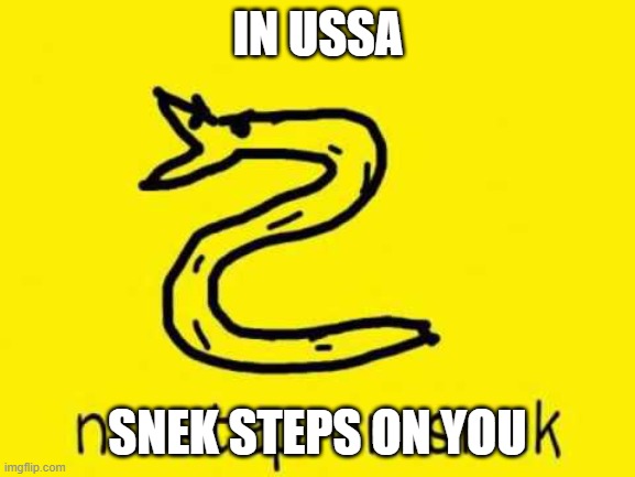 When Authoritarians With Victim Mentalities Think They're Anti-Authoritarian | IN USSA; SNEK STEPS ON YOU | image tagged in no step on snek | made w/ Imgflip meme maker