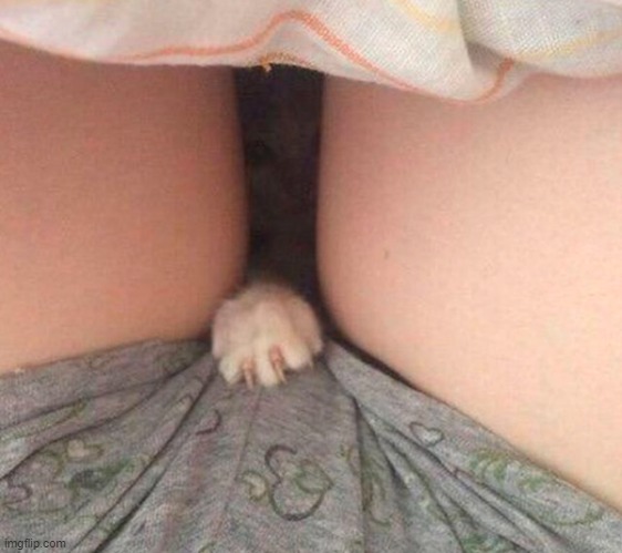 . | made w/ Imgflip meme maker