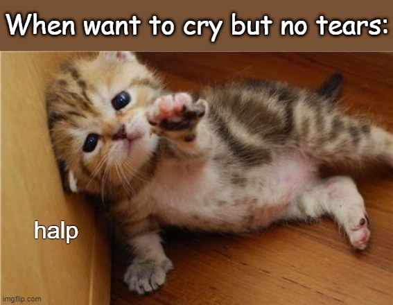 . | When want to cry but no tears:; halp | image tagged in help me kitten | made w/ Imgflip meme maker