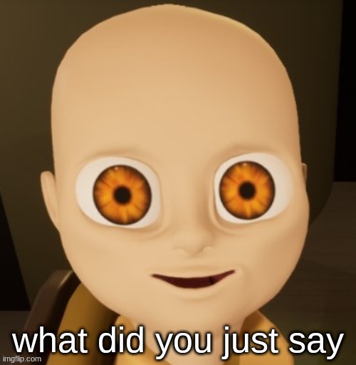 What did you just say baby | image tagged in what did you just say baby | made w/ Imgflip meme maker
