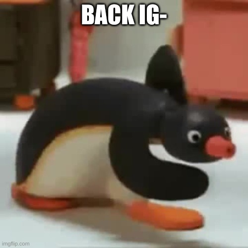 h e l l o . | BACK IG- | image tagged in pingu walking | made w/ Imgflip meme maker