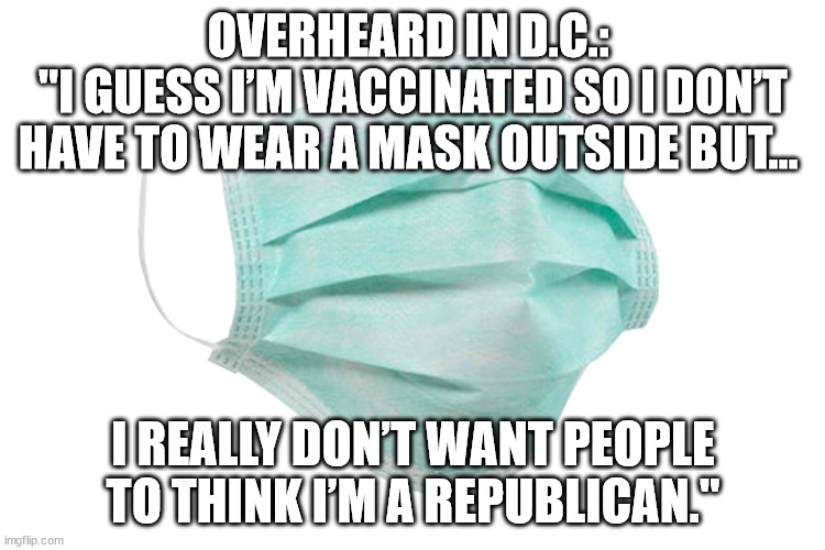 I guess I’m vaccinated so I don’t have to wear a mask outside but, I really don’t want people to think I’m a Republican. | OVERHEARD IN D.C.: 
"I GUESS I’M VACCINATED SO I DON’T HAVE TO WEAR A MASK OUTSIDE BUT…; I REALLY DON’T WANT PEOPLE TO THINK I’M A REPUBLICAN." | image tagged in face mask | made w/ Imgflip meme maker