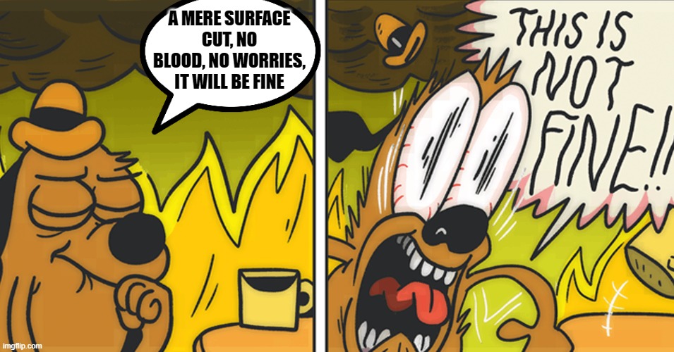 This is not fine | A MERE SURFACE CUT, NO BLOOD, NO WORRIES, IT WILL BE FINE | image tagged in this is not fine | made w/ Imgflip meme maker