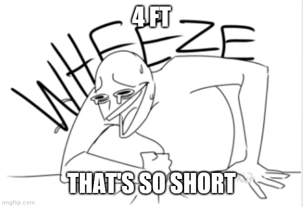 wheeze | 4 FT THAT'S SO SHORT | image tagged in wheeze | made w/ Imgflip meme maker