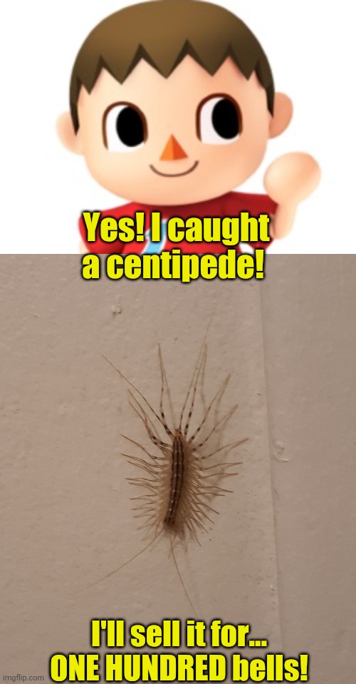 Animal crossing logic | Yes! I caught a centipede! I'll sell it for... ONE HUNDRED bells! | image tagged in animal crossing logic,animal crossing,video games,nintendo switch | made w/ Imgflip meme maker
