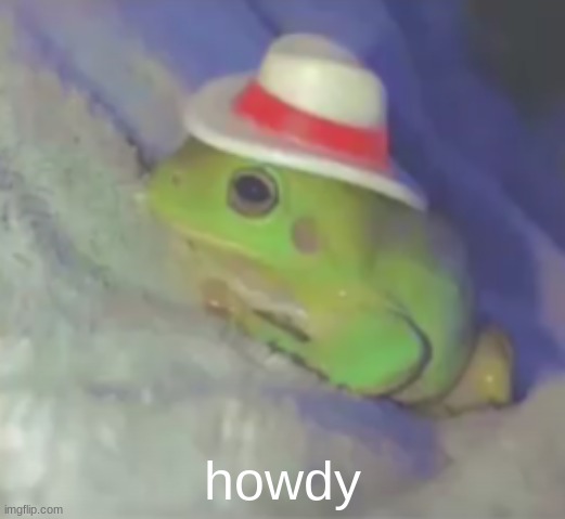thats the end of the sentence | howdy | image tagged in frog,hat,howdy,frog hat,cute | made w/ Imgflip meme maker