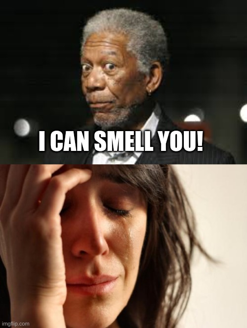 My test to see if random can get me to the front page | I CAN SMELL YOU! | image tagged in funny,fun,morgan freeman,random,humor | made w/ Imgflip meme maker