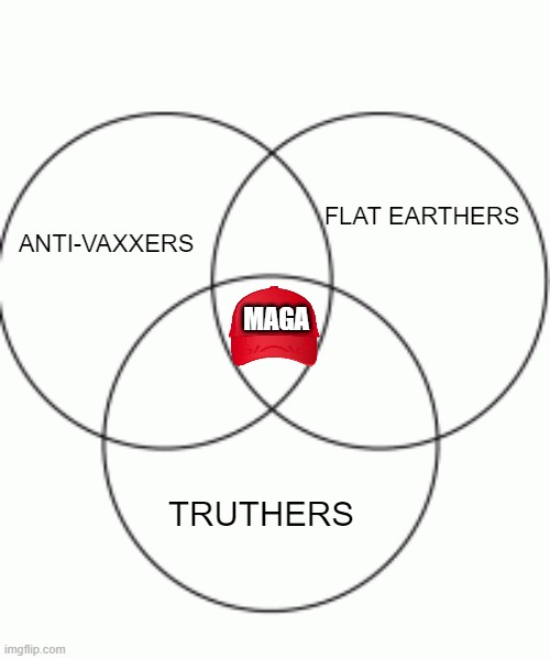They're completely disconnected from reality | FLAT EARTHERS; ANTI-VAXXERS; MAGA; TRUTHERS | image tagged in blank venn diagram | made w/ Imgflip meme maker