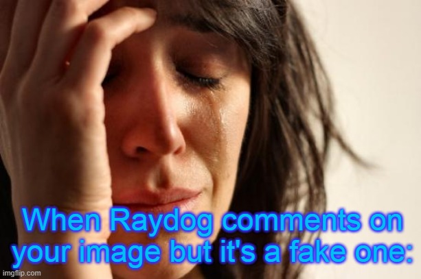 this happened weeks ago, but i decided to post about it because yes | When Raydog comments on your image but it's a fake one: | image tagged in memes,first world problems | made w/ Imgflip meme maker
