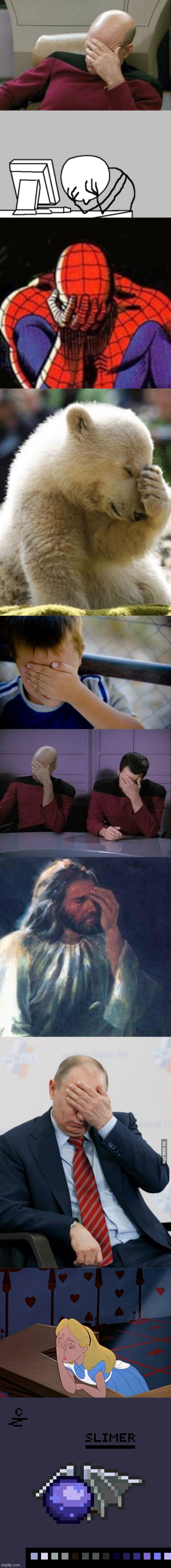 image tagged in memes,captain picard facepalm,computer guy facepalm,sad spiderman,facepalm bear,confession kid | made w/ Imgflip meme maker