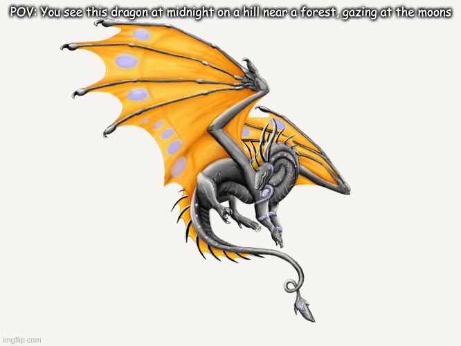 POV: You see this dragon at midnight on a hill near a forest, gazing at the moons | made w/ Imgflip meme maker