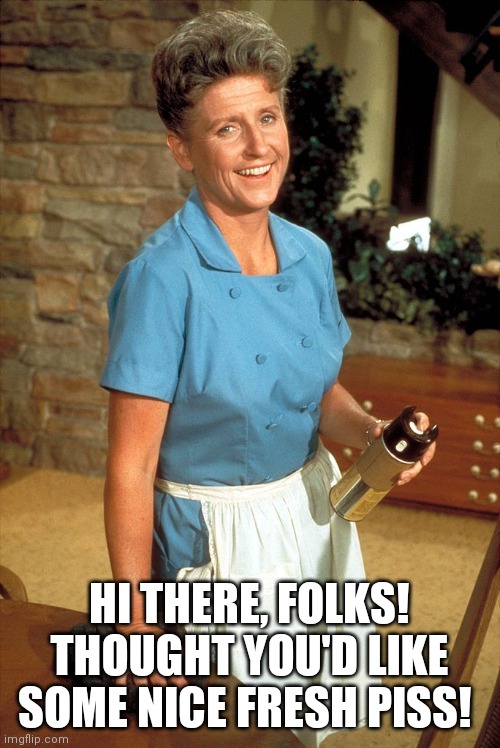 Alice from The Brady Bunch | HI THERE, FOLKS! THOUGHT YOU'D LIKE SOME NICE FRESH PISS! | image tagged in the brady bunch | made w/ Imgflip meme maker