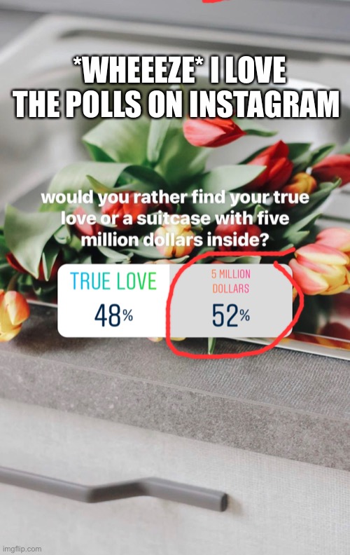 GIVE ME MY MONEY | *WHEEEZE* I LOVE THE POLLS ON INSTAGRAM | made w/ Imgflip meme maker