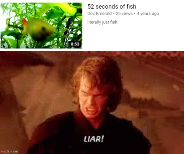 Lies | image tagged in anakin liar | made w/ Imgflip meme maker