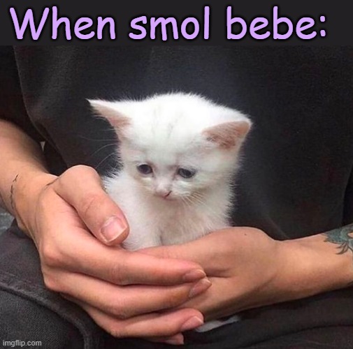 . | When smol bebe: | made w/ Imgflip meme maker