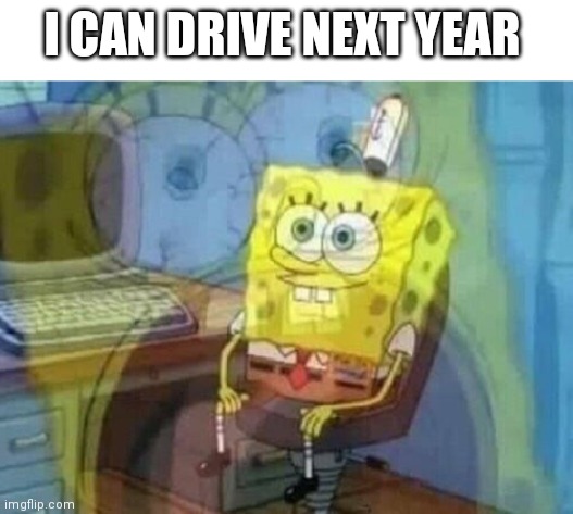 I HAVE 3 FRIENDS WHO CAN DRIVE THIS YEAR | I CAN DRIVE NEXT YEAR | image tagged in internal screaming | made w/ Imgflip meme maker