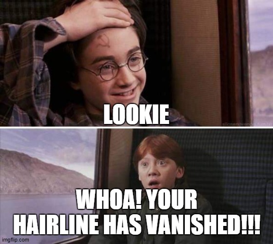 communism will sin Harry Potter | LOOKIE; WHOA! YOUR HAIRLINE HAS VANISHED!!! | image tagged in communism will sin harry potter | made w/ Imgflip meme maker