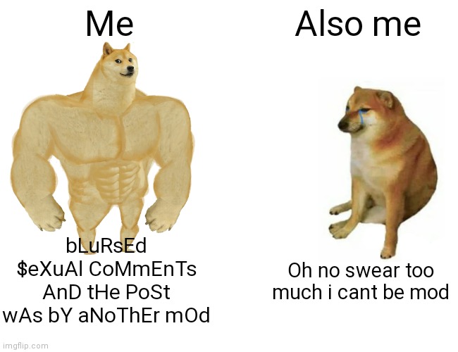 Especially since i was worse than tommyinnit swearing wise | Me; Also me; bLuRsEd $eXuAl CoMmEnTs AnD tHe PoSt wAs bY aNoThEr mOd; Oh no swear too much i cant be mod | image tagged in memes,buff doge vs cheems | made w/ Imgflip meme maker