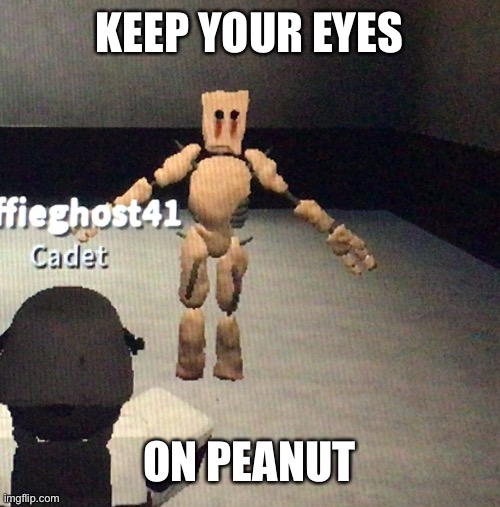 Watch him | KEEP YOUR EYES; ON PEANUT | image tagged in scp,peanut | made w/ Imgflip meme maker
