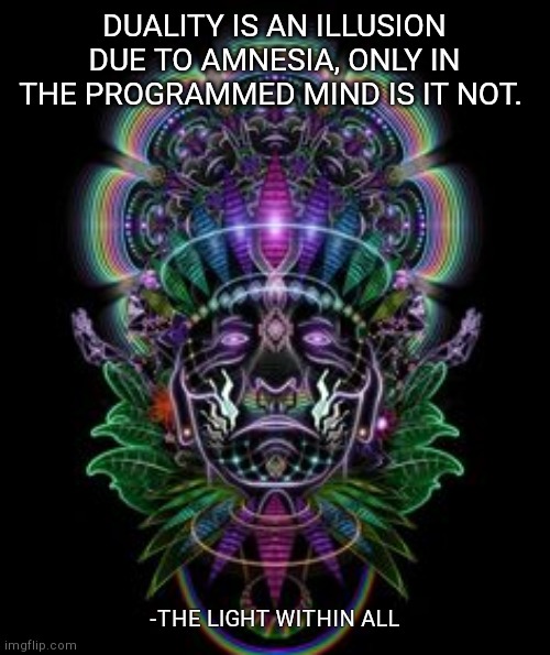 DUALITY IS AN ILLUSION DUE TO AMNESIA, ONLY IN THE PROGRAMMED MIND IS IT NOT. -THE LIGHT WITHIN ALL | made w/ Imgflip meme maker