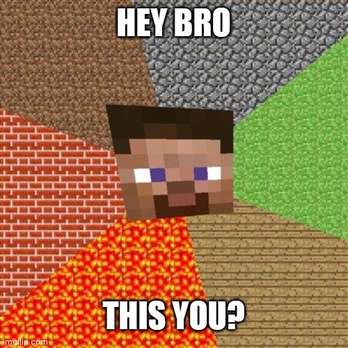 Minecraft Steve | HEY BRO THIS YOU? | image tagged in minecraft steve | made w/ Imgflip meme maker