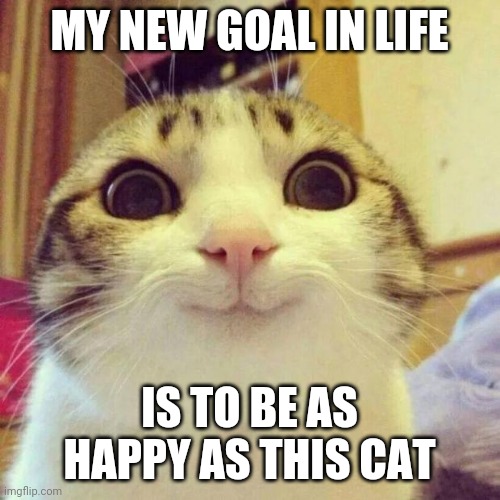 happy time | MY NEW GOAL IN LIFE; IS TO BE AS HAPPY AS THIS CAT | image tagged in memes,smiling cat,featured,cats,funny,upvotes | made w/ Imgflip meme maker