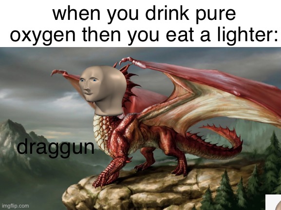 when you drink pure oxygen then you eat a lighter:; draggun | image tagged in memes | made w/ Imgflip meme maker