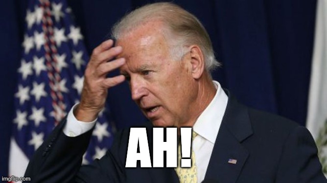 No brain no pain. | AH! | image tagged in joe biden worries,ah | made w/ Imgflip meme maker