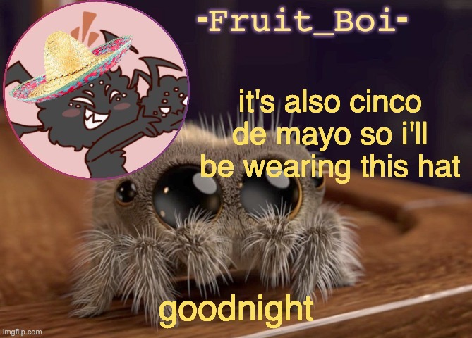 it's also cinco de mayo so i'll be wearing this hat; goodnight | image tagged in webber announcement 2 made by -kirbobun-the-shapeshifter- | made w/ Imgflip meme maker
