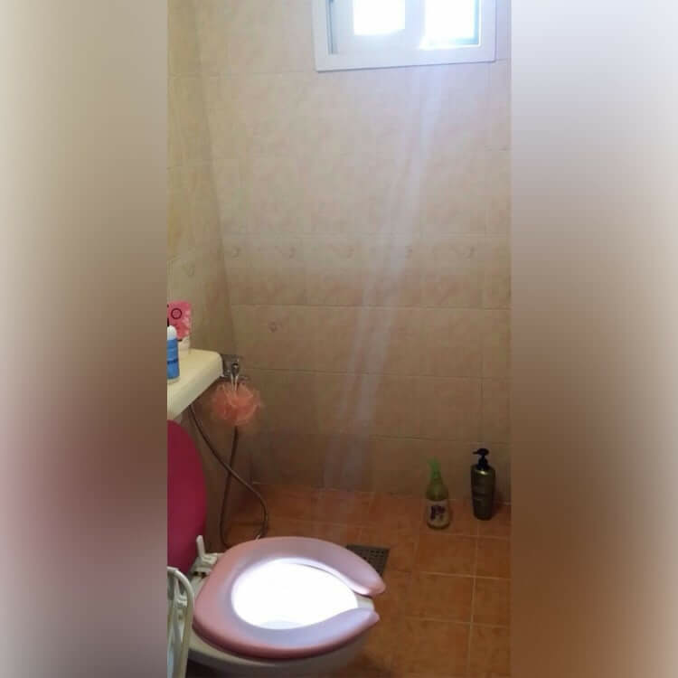 High Quality Holy toilet Blank Meme Template