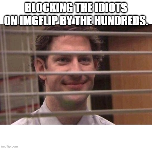 Jim Office Blinds | BLOCKING THE IDIOTS ON IMGFLIP BY THE HUNDREDS. | image tagged in jim office blinds | made w/ Imgflip meme maker