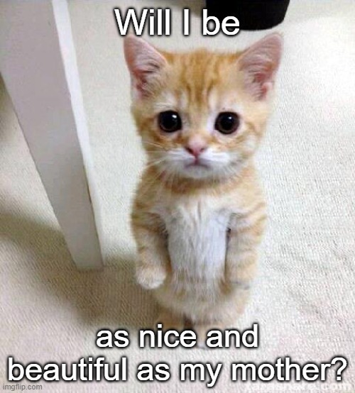Dear mother cat | Will I be; as nice and beautiful as my mother? | image tagged in memes,cute cat,mother cat,mother's day,cat,kawaii | made w/ Imgflip meme maker